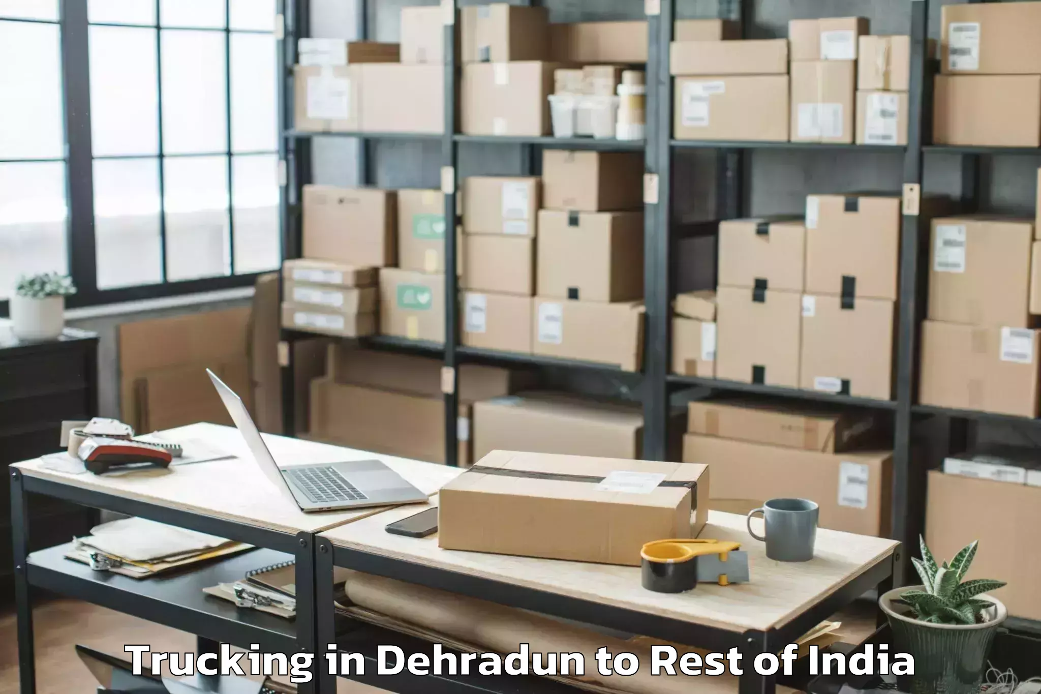 Book Dehradun to Badgam Trucking Online